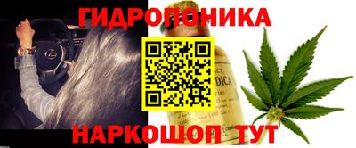 мяу мяу мука Славянск-на-Кубани