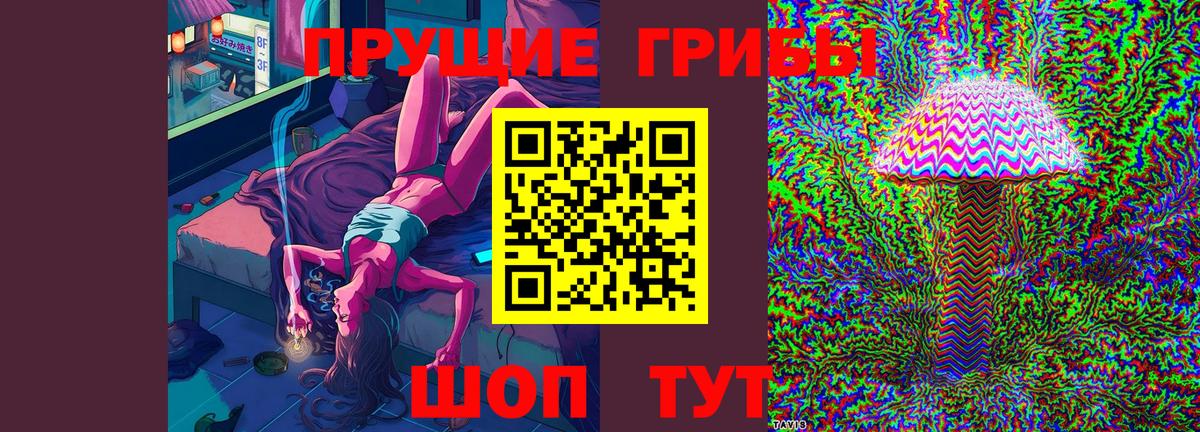 Ржев  Псилоцибиновые грибы MAGIC MUSHROOMS  Вход с VPN 